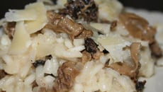 Risotto aux morilles et parmesan