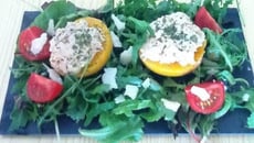 Pêches au thon estivales