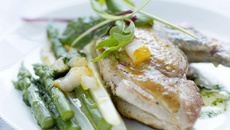 Suprême fondant de pintade et fine mousseline aux herbes fraîches