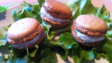 Macaron noix roquefort