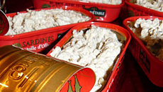 rillettes de sardine dans leur boite
