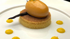 Baba de foie gras en crémeux de mangue