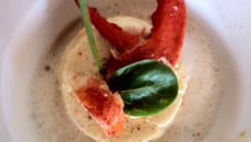 Petits flans au homard