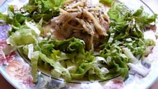 Perche du nil au Basilic