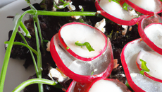 Carpaccio de radis noir, ricotta, vinaigrette à la tomate et herbes fraîches