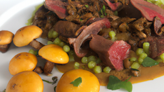 Pigeonneau aux girolles et lentilles