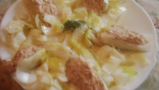 Endives mimosa faciles