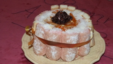 Charlotte à la mousse d'abricots / poires