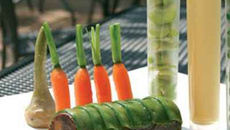 Joue de bœuf blond, légumes printaniers du Lot-et-Garonne