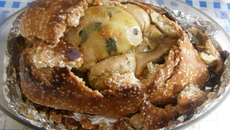 Le poulet, aussi se couvre en Montagne