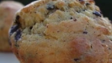 Muffins choco orange