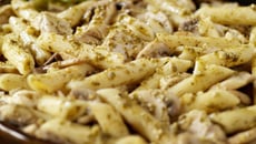 Gratin de pâtes au poulet et Bresse Bleu