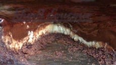 Tarte chocolat et pamplemousse