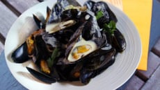 Moules au maroilles Fauquet