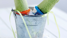 Glace à l'Avocat Hass du Pérou