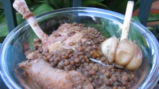 Mes lentilles du Sud-Ouest