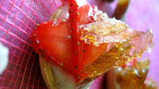 Tartelette à la confiture de rhubarbe et aux fraises, craquant de coca