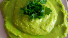 Mousse d'avocats à la coriandre