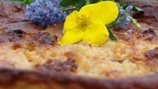 Far breton version Tit' Attitude