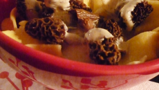 Tagliatelles sauce moutarde & morilles