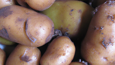 Pomme de terre champêtre