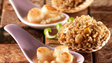 Noix de Saint-Jacques, ses céréales gourmandes cacaotées et poires fraîches