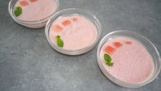 Mousse de pastèque à la menthe et grenadine