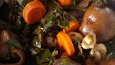 Fricassée de bulots de Granville, petits légumes et huile à l'orange sanguine