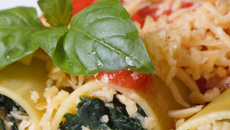 Cannellonis aux épinards et ricotta