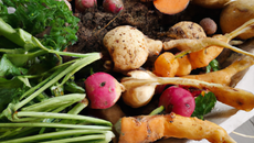 Légumes racines d'automne