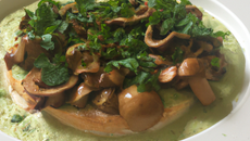 Chayotte de gremolata aux noisettes du Piémont, champignons sauvages, lardo di collonata et mayonnaise de foie gras