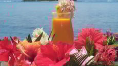 Cocktail tahitien - L'île aux fleurs