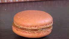 Macarons aux abricots faciles