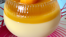 Panna cotta Mangue-Spéculoos