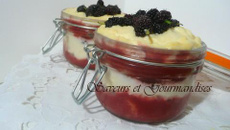 Tiramisus aux fruits rouges