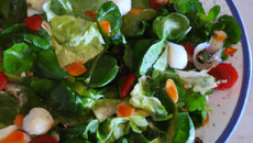 Salade océane maison