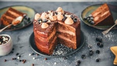 Layer cake au chocolat et noix de coco