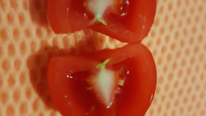 Tomate fraîcheur