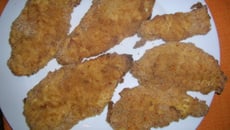 Blancs de poulet à la moutarde