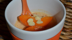 Panna cotta d'abricots et chocolat blanc