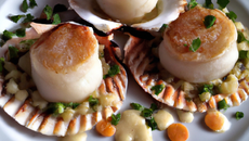 Champerloises et coquilles Saint Jacques