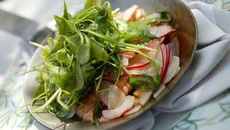 Langoustines en croquant de légumes, radis, navet, roquette déglacés au Xérès, huile d'olives en poêlon chaud