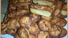 Visitandines rapides