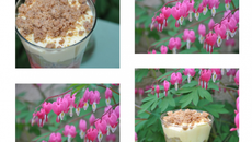 Verrine printannière rhubarbe-fraise au crumble de noisettes