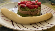 Crème d'avocat, tomates et thon