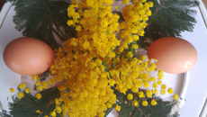 Œufs mimosa inratables