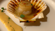 Coquille St-Jacques au champagne