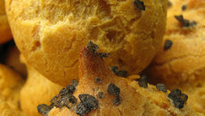 Des choux salées sans gluten et sans lait