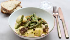 Fricassée de coquilles Saint-Jacques aux asperges et morilles