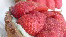 Tartelettes fraises et pistache